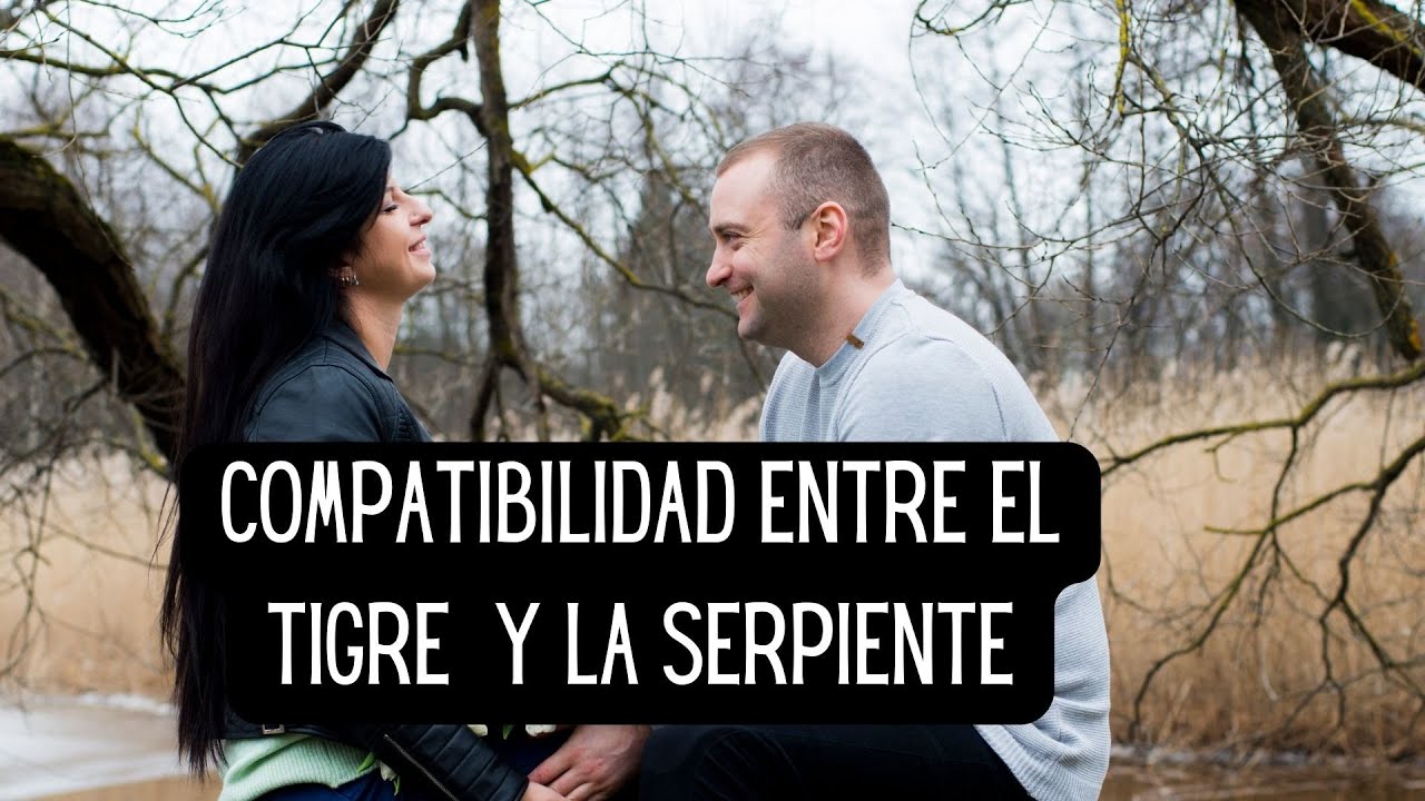 'Video thumbnail for Compatibilidad entre el Tigre y la Serpiente'