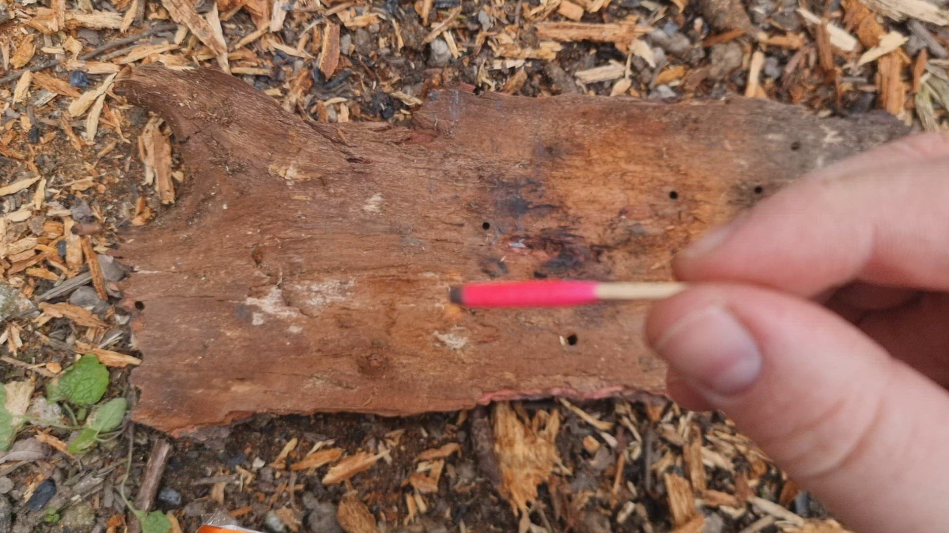 Video thumbnail for lighting a waterproof storm match