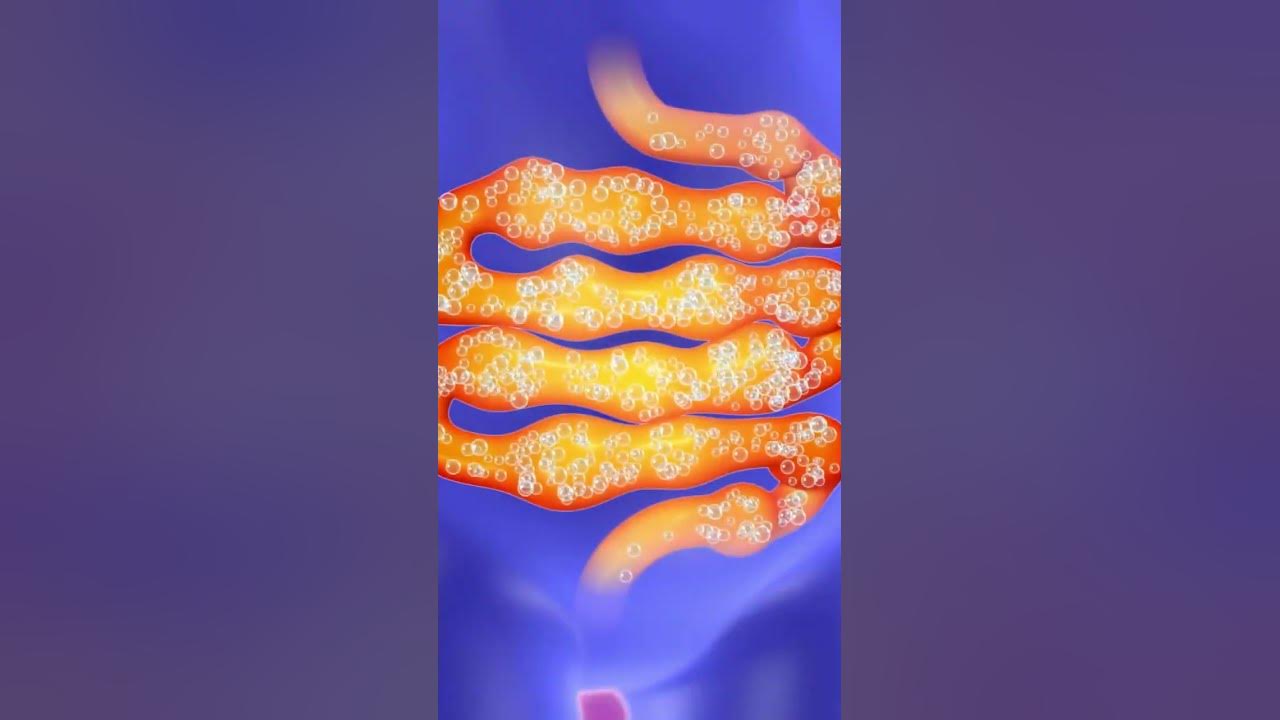 'Video thumbnail for How Sauerkraut Can Help with Digestive Disorders #shorts'