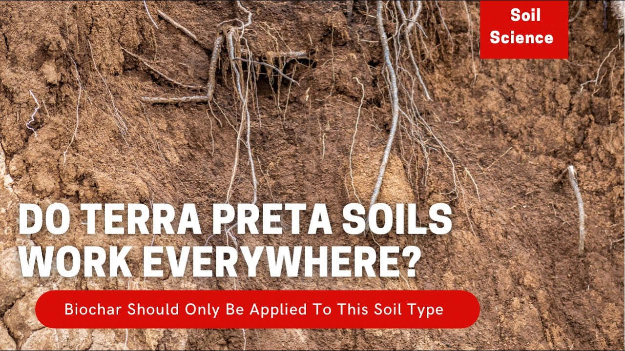 Video thumbnail for What Is Terra Petra Soils? Can You Make Any Soil Terra Petra Soil? Soil Scientist Opinion.