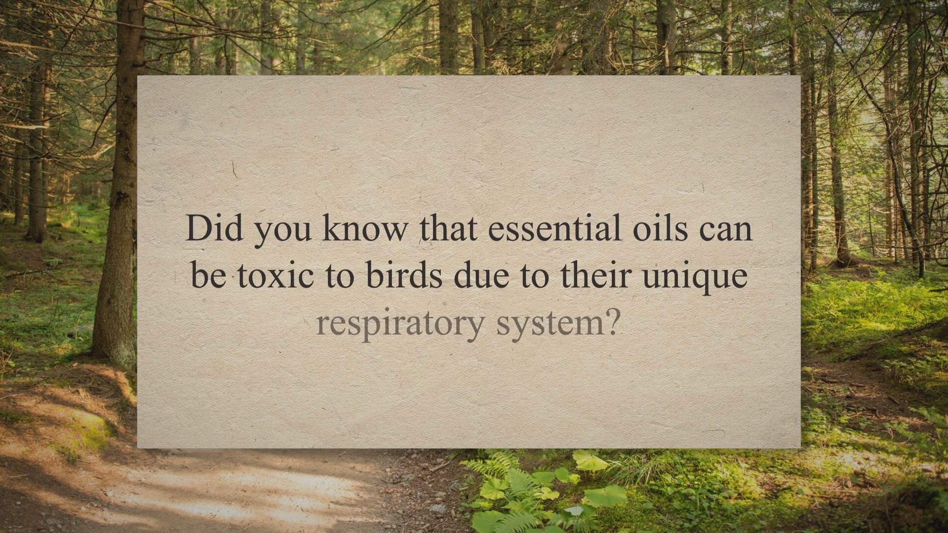 Video thumbnail for 23 Essential Oils Toxic To Birds (Avoiding Harm)