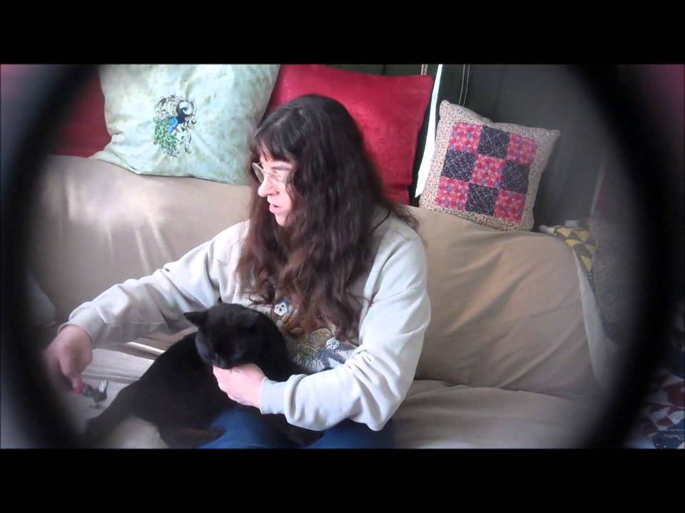 Video thumbnail for Product Review Shed Ninja For Cats Sheri Ann Richerson ExperimentalHomesteader.com