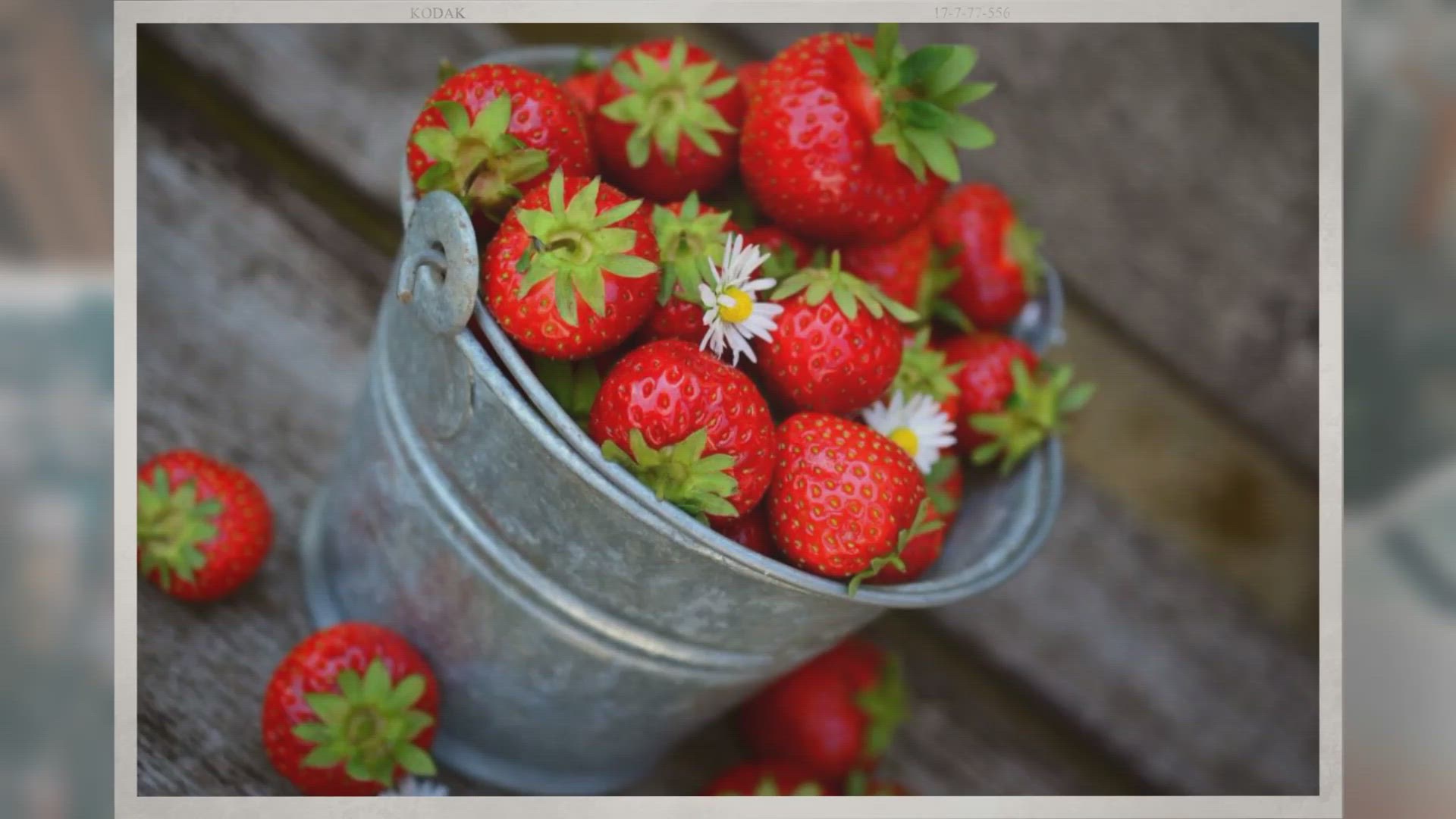 Video thumbnail for Do Strawberries Need Full Sunlight?