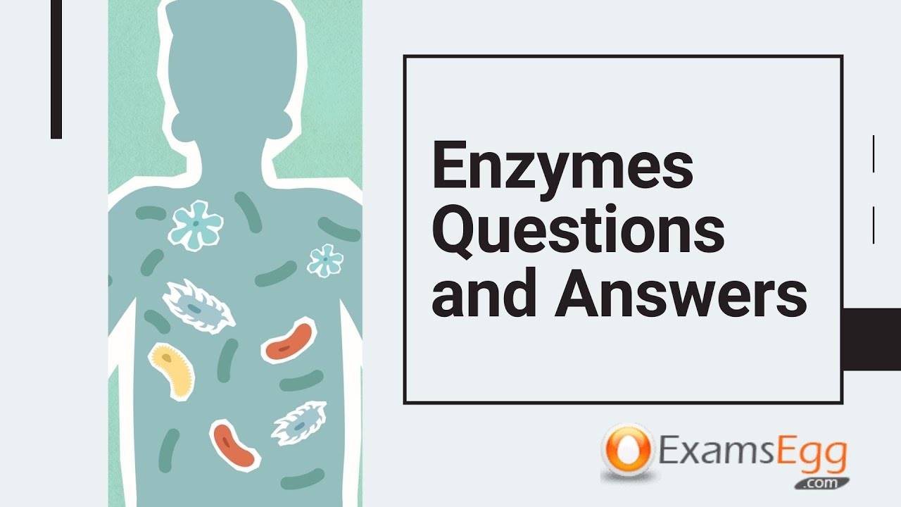 'Video thumbnail for Enzymes Questions and Answers - Examsegg Biology'