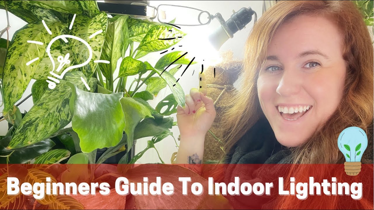 Video thumbnail for Easy Beginners Guide To Lighting For Hydroponic Growing Indoors. Fruiting Lights Vs. Herbs & Leafy.
