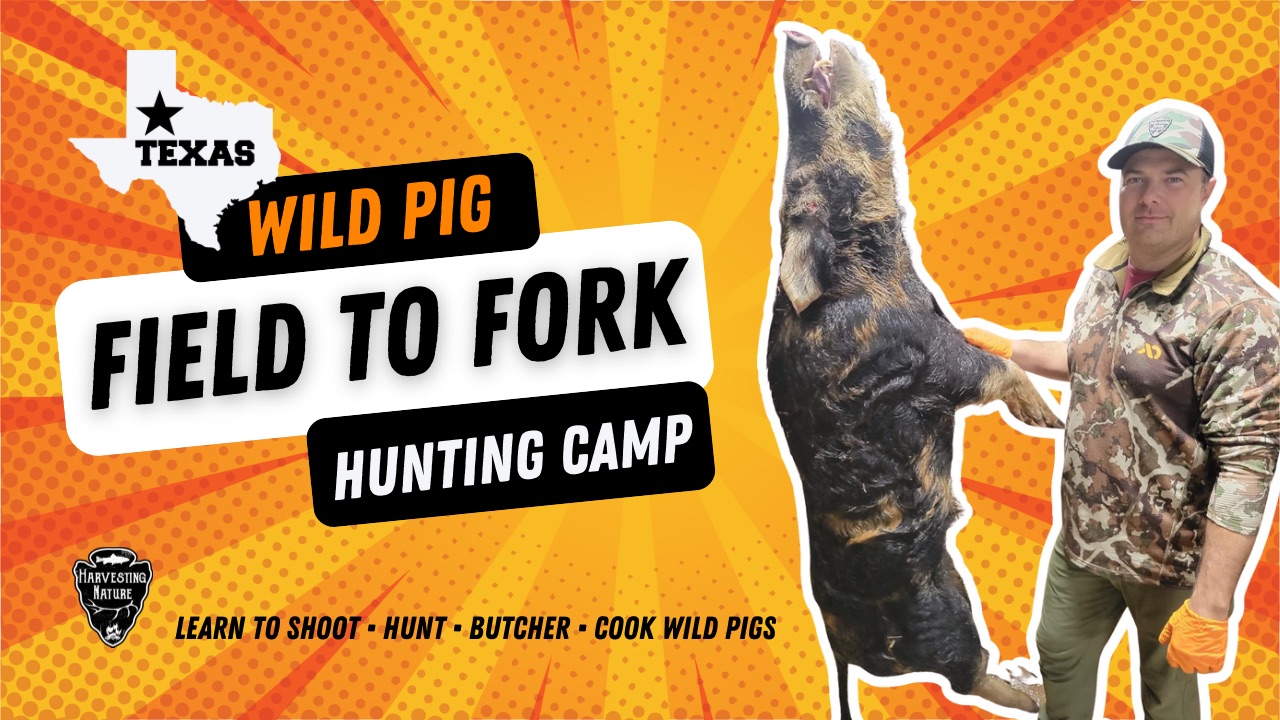 Video thumbnail for Wild Pig Field to Fork Hunting Camp