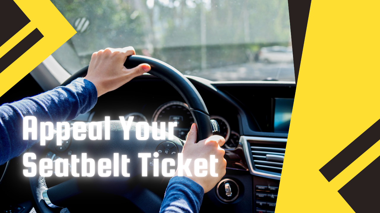 Video thumbnail for Leverage AI for Your Seatbelt Ticket Appeal: A Complete Guide