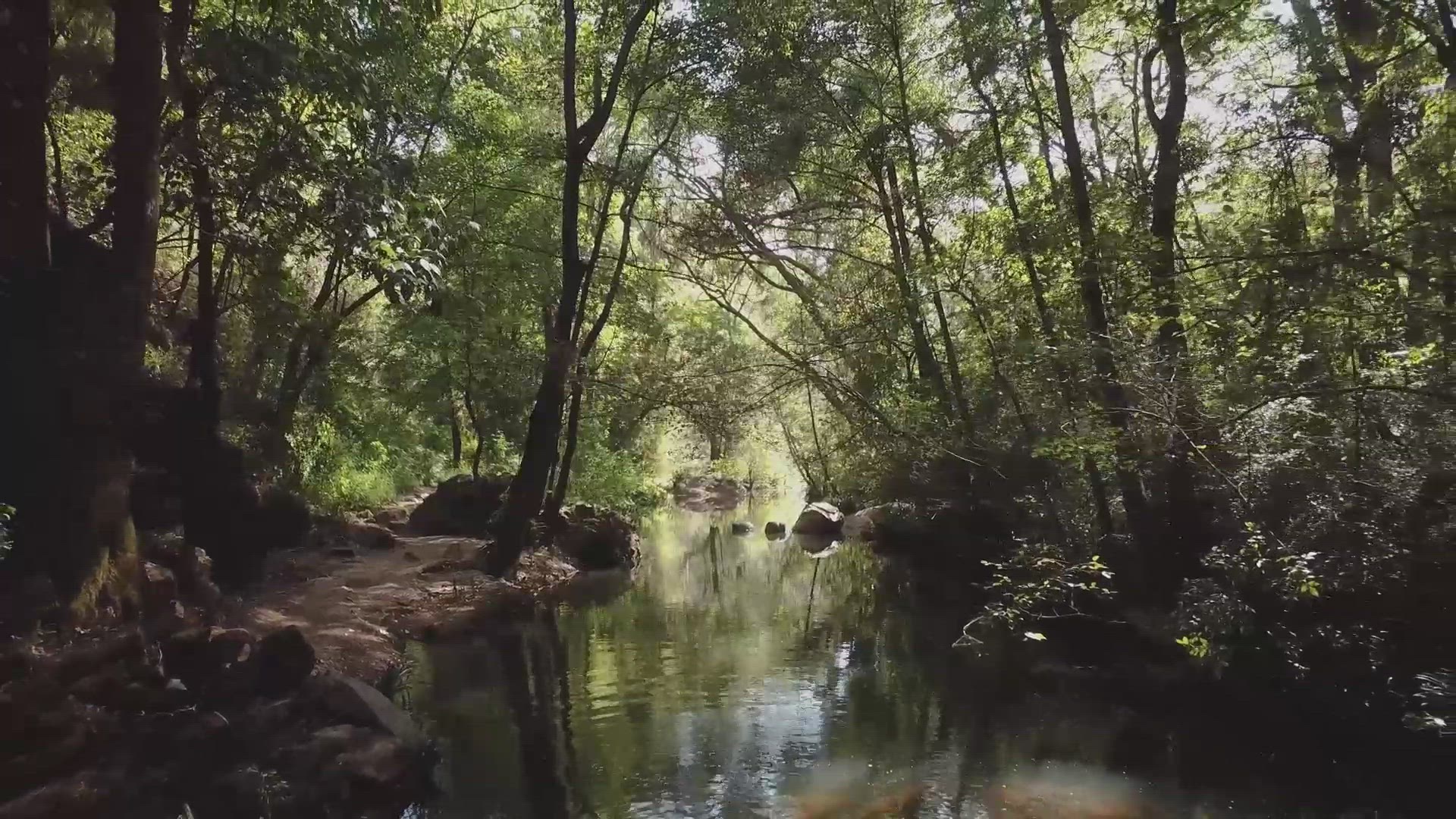 'Video thumbnail for Beautiful Nature'