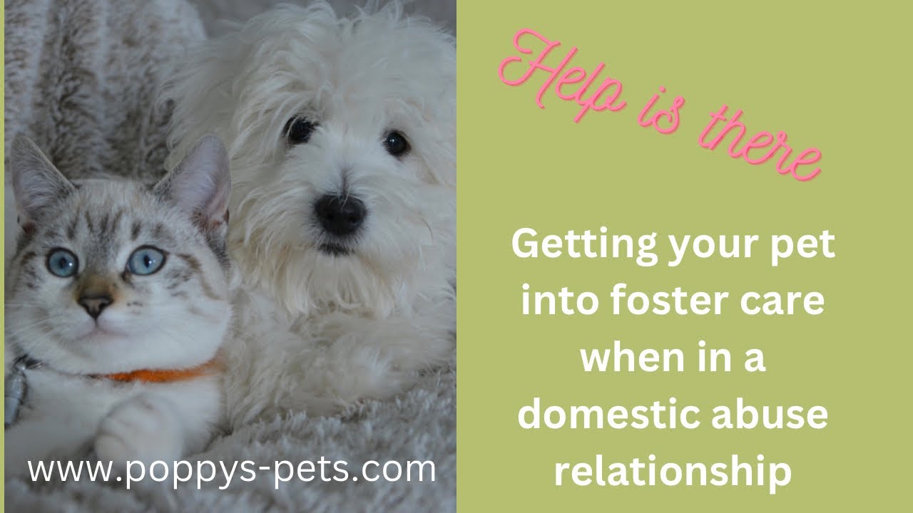 'Video thumbnail for Are You in a Domestic Abuse Relationship? (Real-Life Interview Coming Soon)'