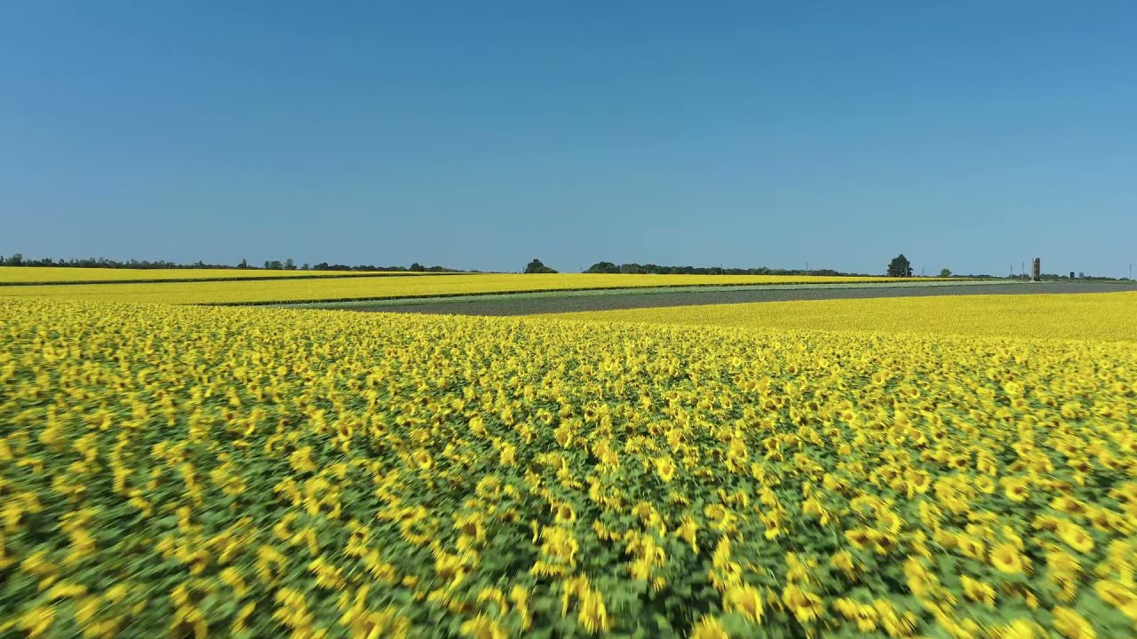 Video thumbnail for Guided Meditation Relaxing Music to Calm Your Mind and Relieve Stress and Anxiety