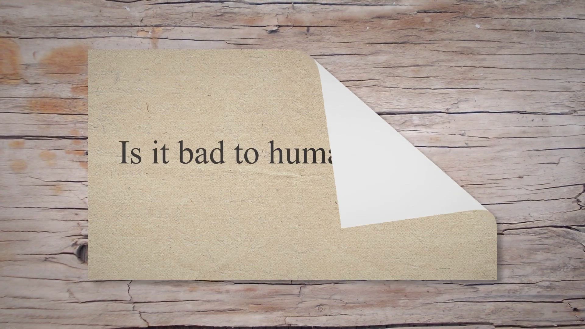 Video thumbnail for Is it bad to humanize your pet ? – True Home Joy