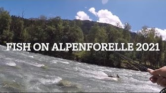 Video thumbnail for Best of Fish on 2021