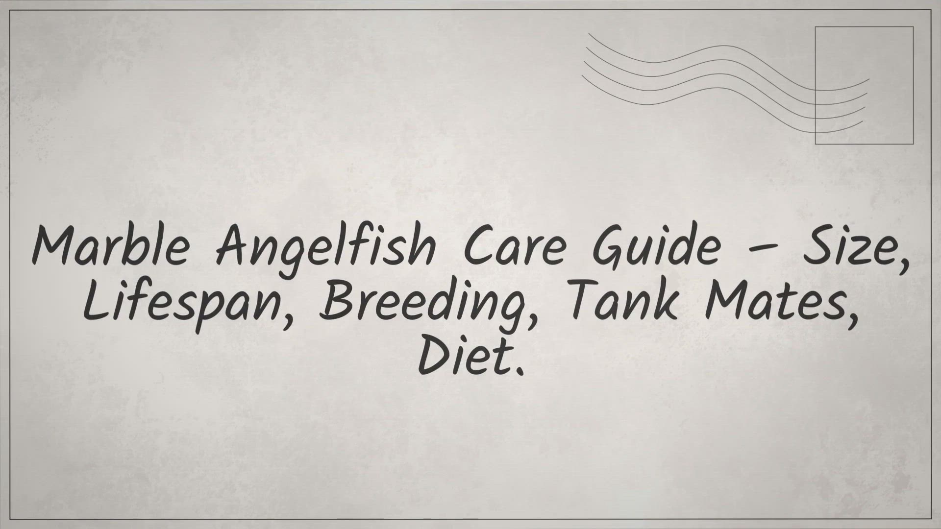 Video thumbnail for Marble Angelfish Care Guide - Size, Lifespan, Breeding, Tank Mates, Diet
