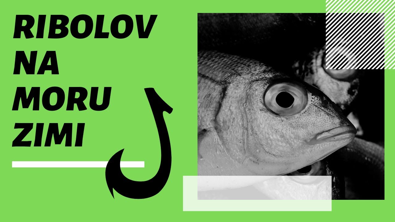 'Video thumbnail for Ribolov na moru zimi: Savjeti za zimski ribolov sa obale ili broda'