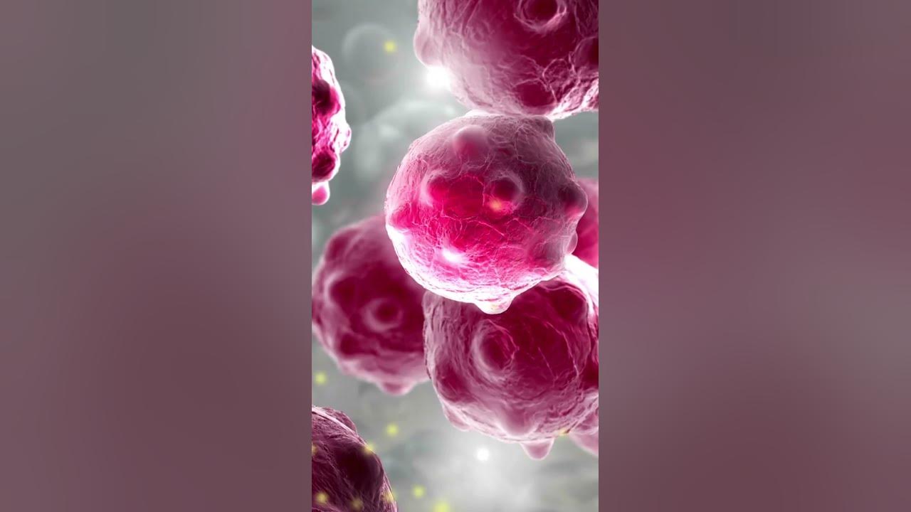 'Video thumbnail for Cinnamon Coffee: The Delicious Way to Get Your Daily Dose of Antioxidants #shorts'