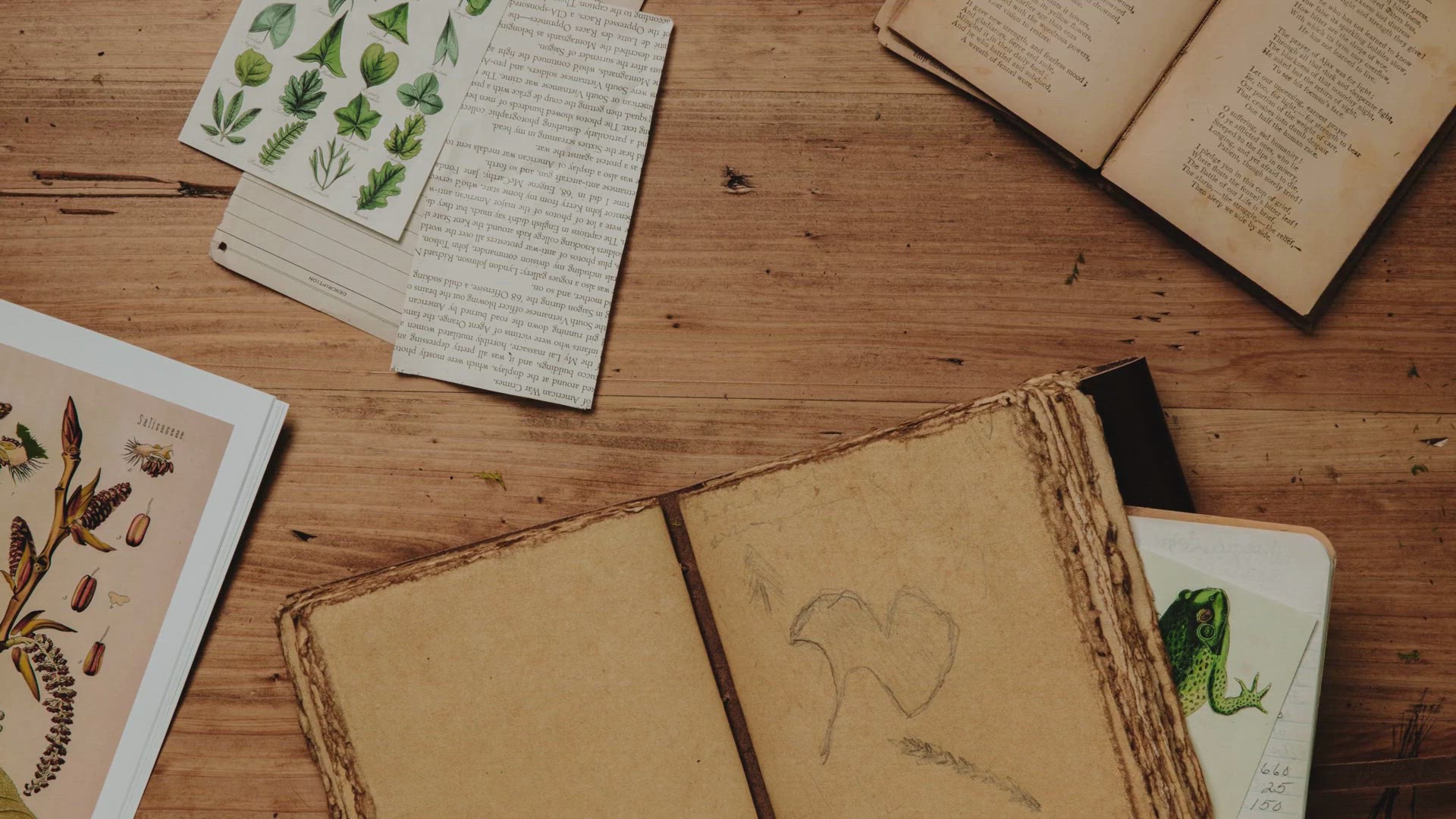 Video thumbnail for Top 25 Best Learning Apps For Adults