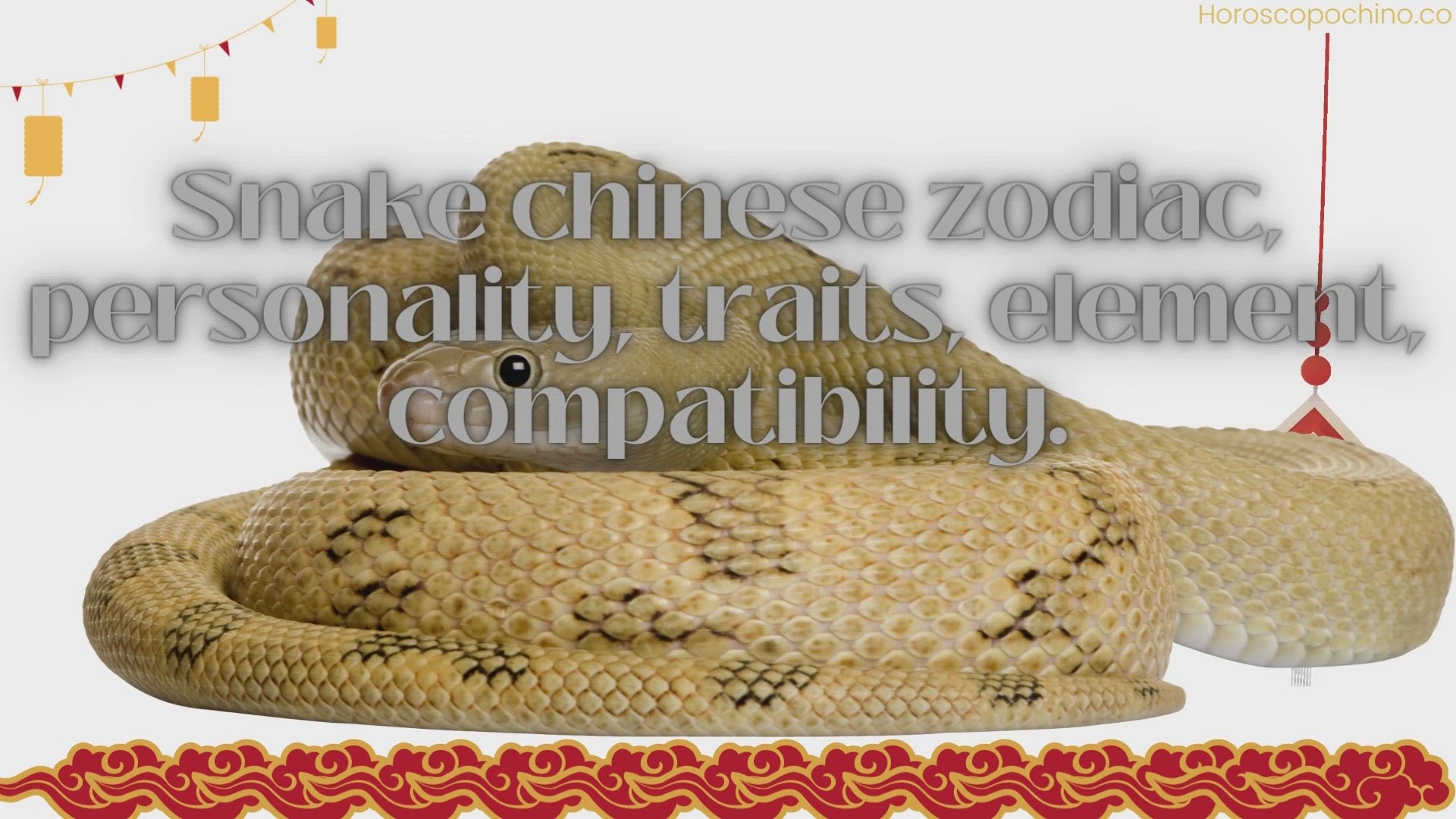 'Video thumbnail for Snake chinese zodiac, personality, traits, element, compatibility.'