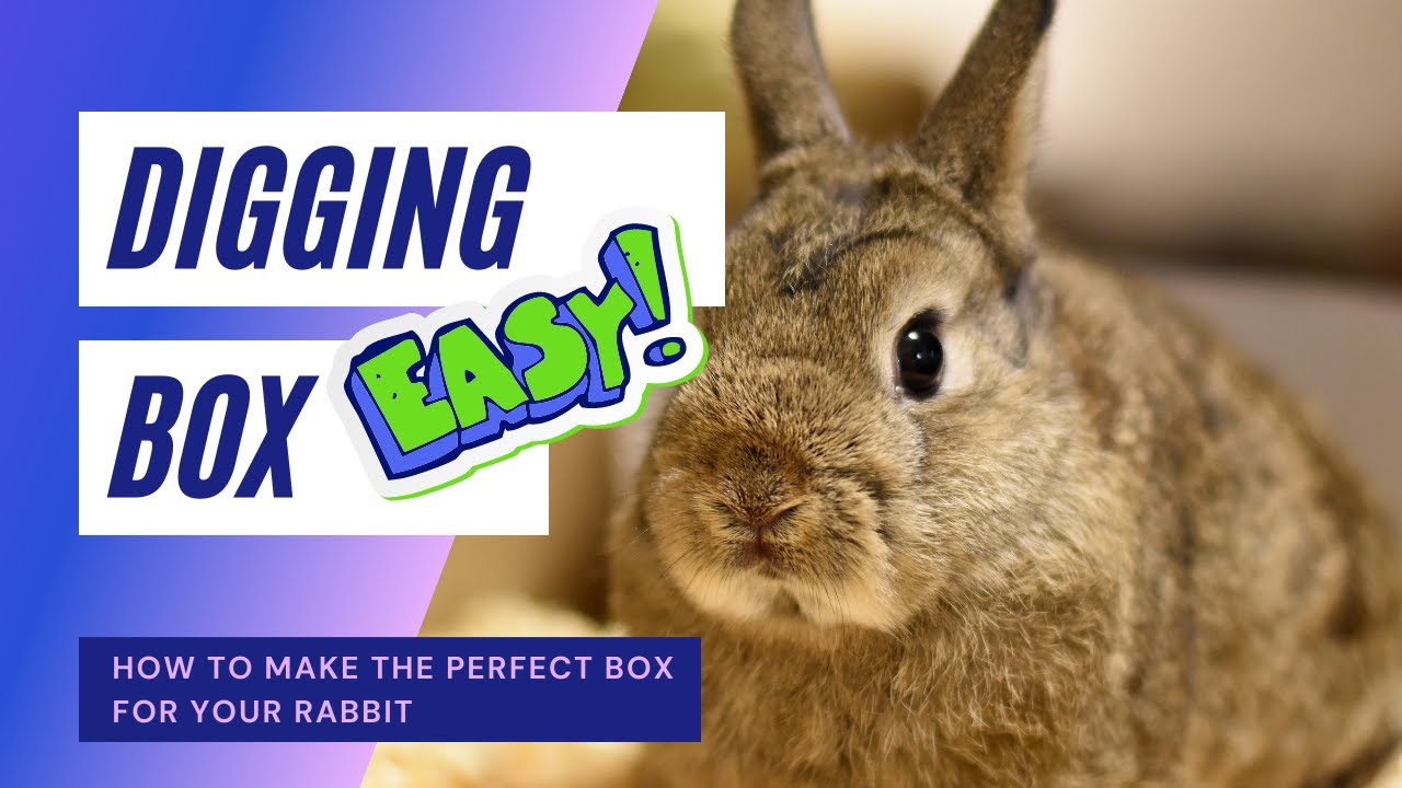 'Video playlist thumbnail'