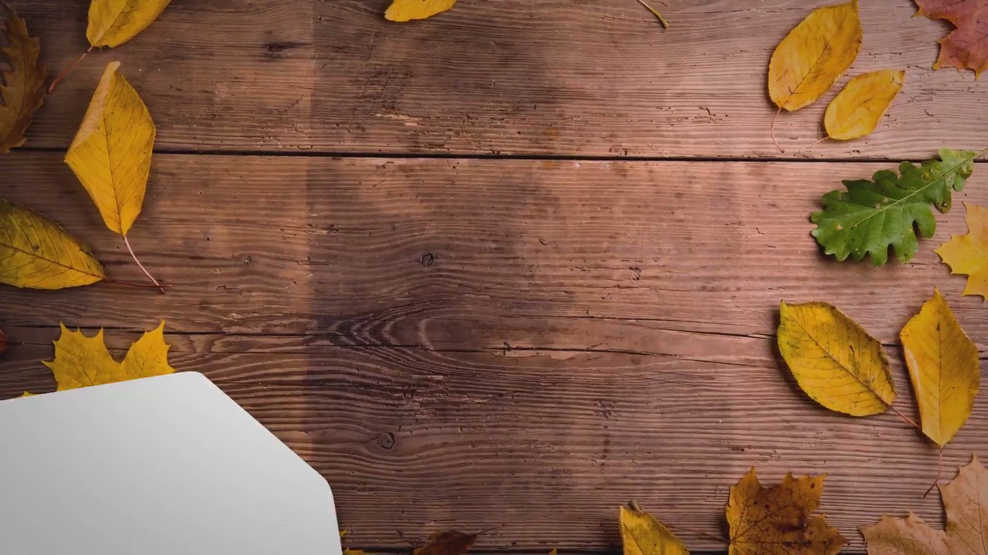 Video thumbnail for (Review) Nicco Park Kolkata (Ticket Price, Amusement Park & Things to do)