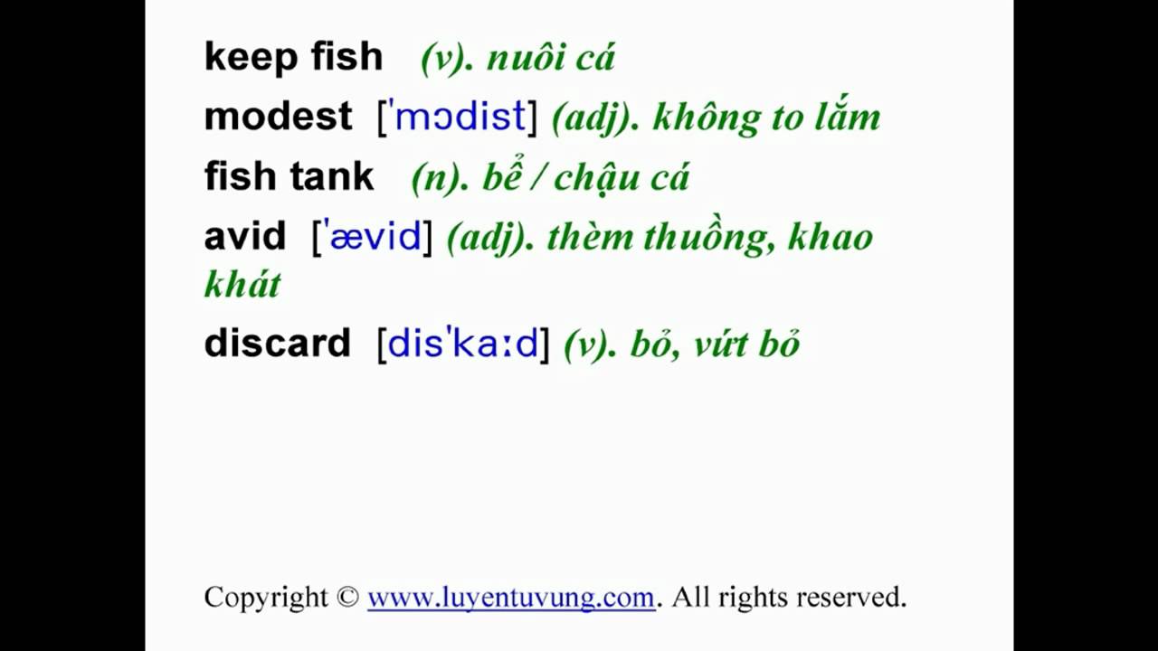 'Video thumbnail for Learn English Vocabulary - Grade 11 - Unit 13 - Lesson 01'