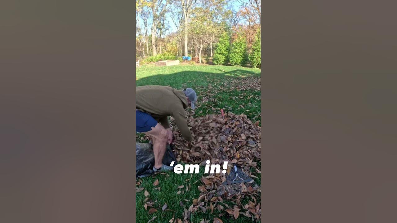 'Video thumbnail for [HOW TO] Leaf Removal 101 😅 EASY WAY  #shorts'