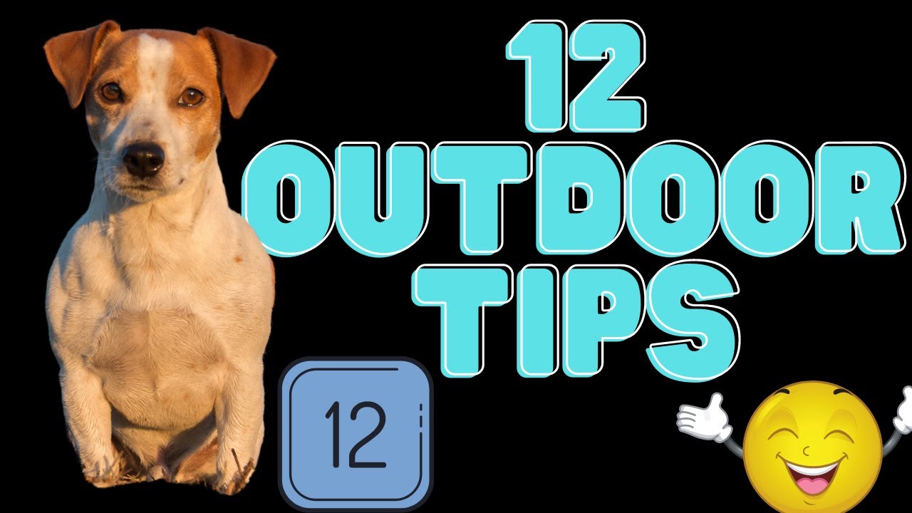 Video thumbnail for Jack Russell Terriers (12 Essential Tips For Prepping Your Yard The Right Way!)