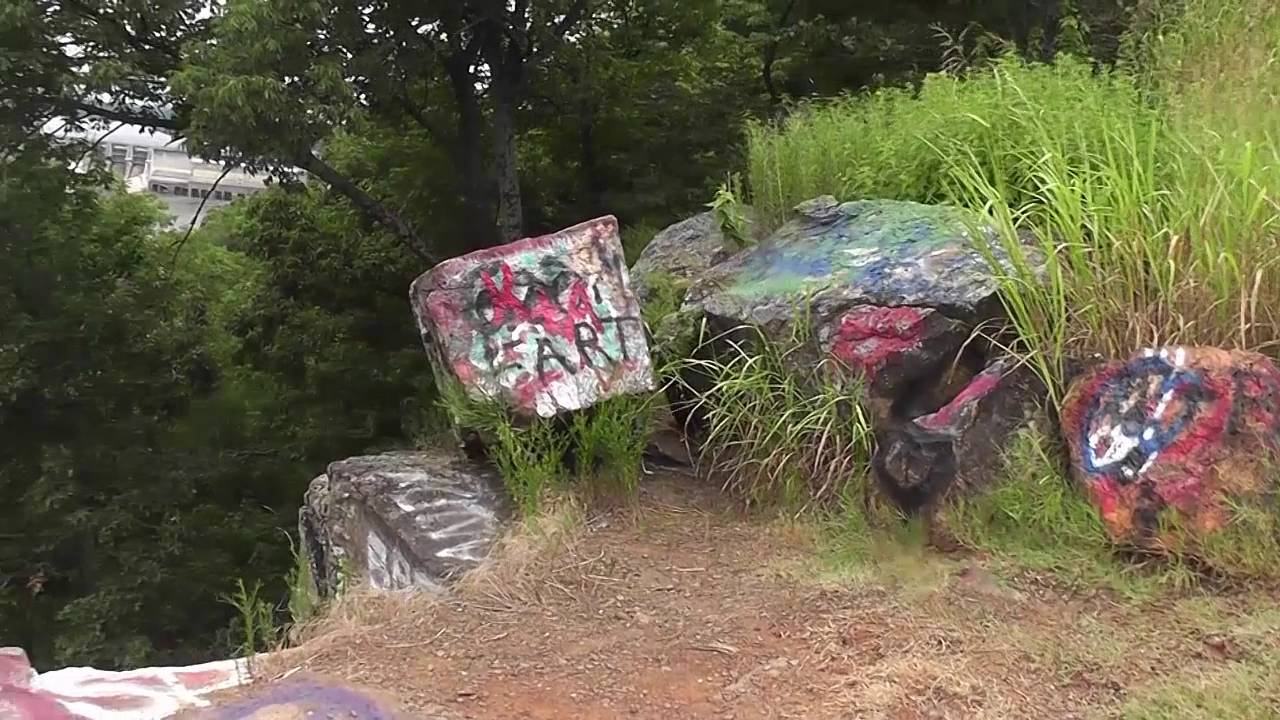 Video thumbnail for vlog 4 - compilation of days