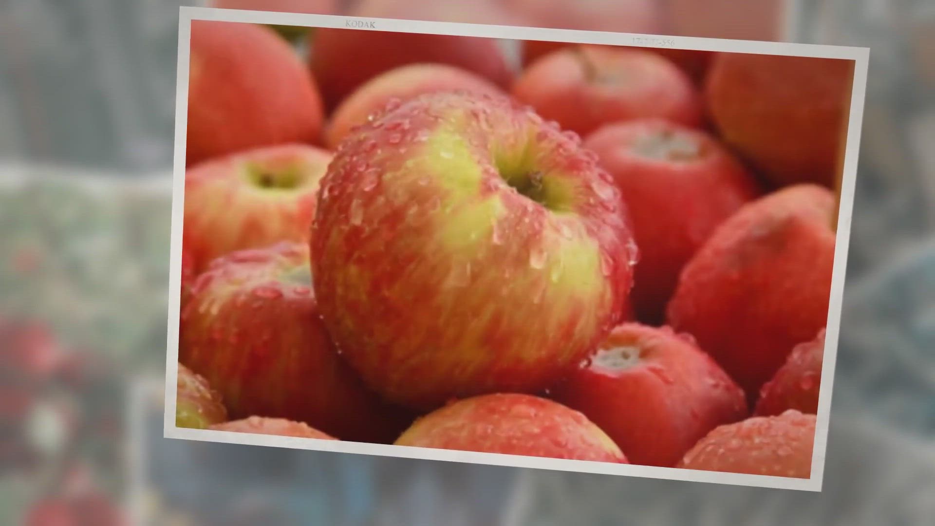'Video thumbnail for The Braeburn Apple: Everything You Need to Know'