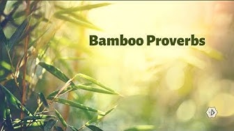 'Video thumbnail for Bamboo Proverbs'