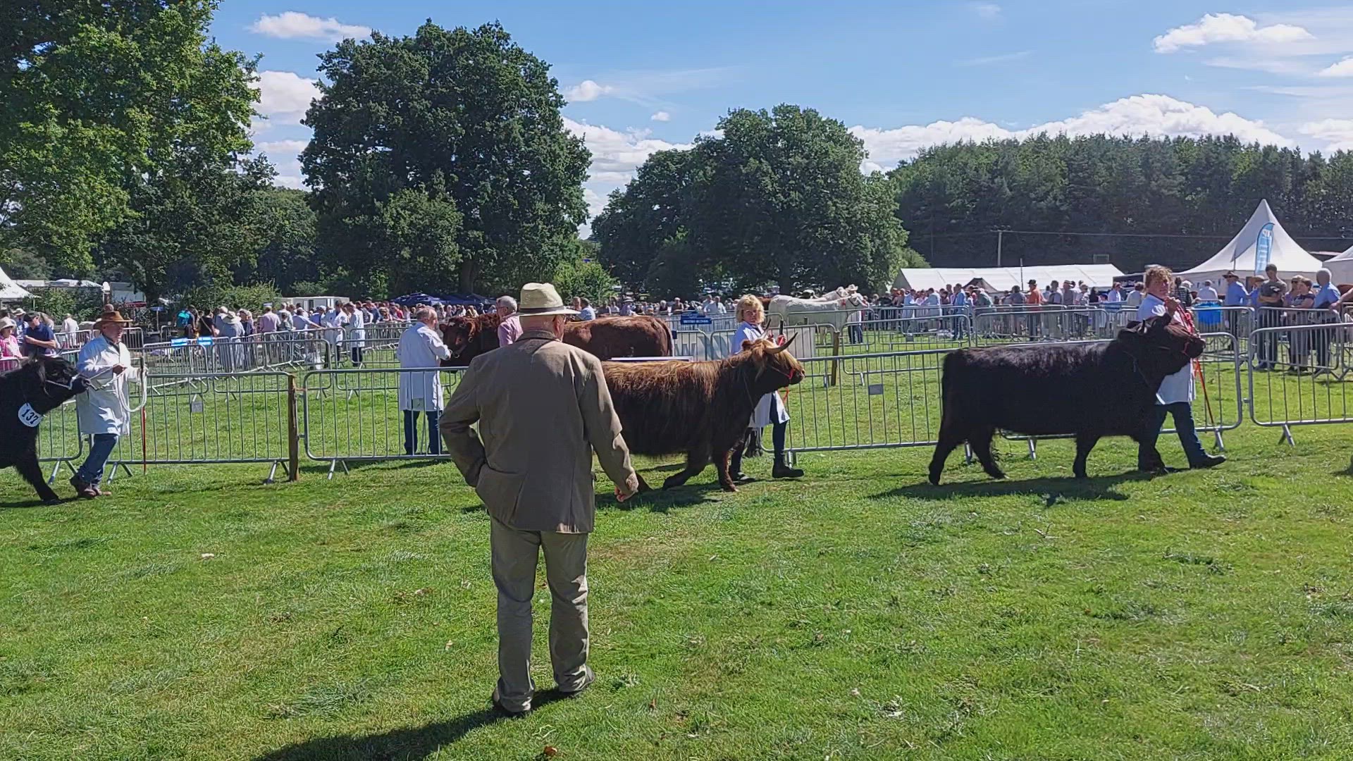 Video thumbnail for Burwarton show Long-horned long haired cattle being judged