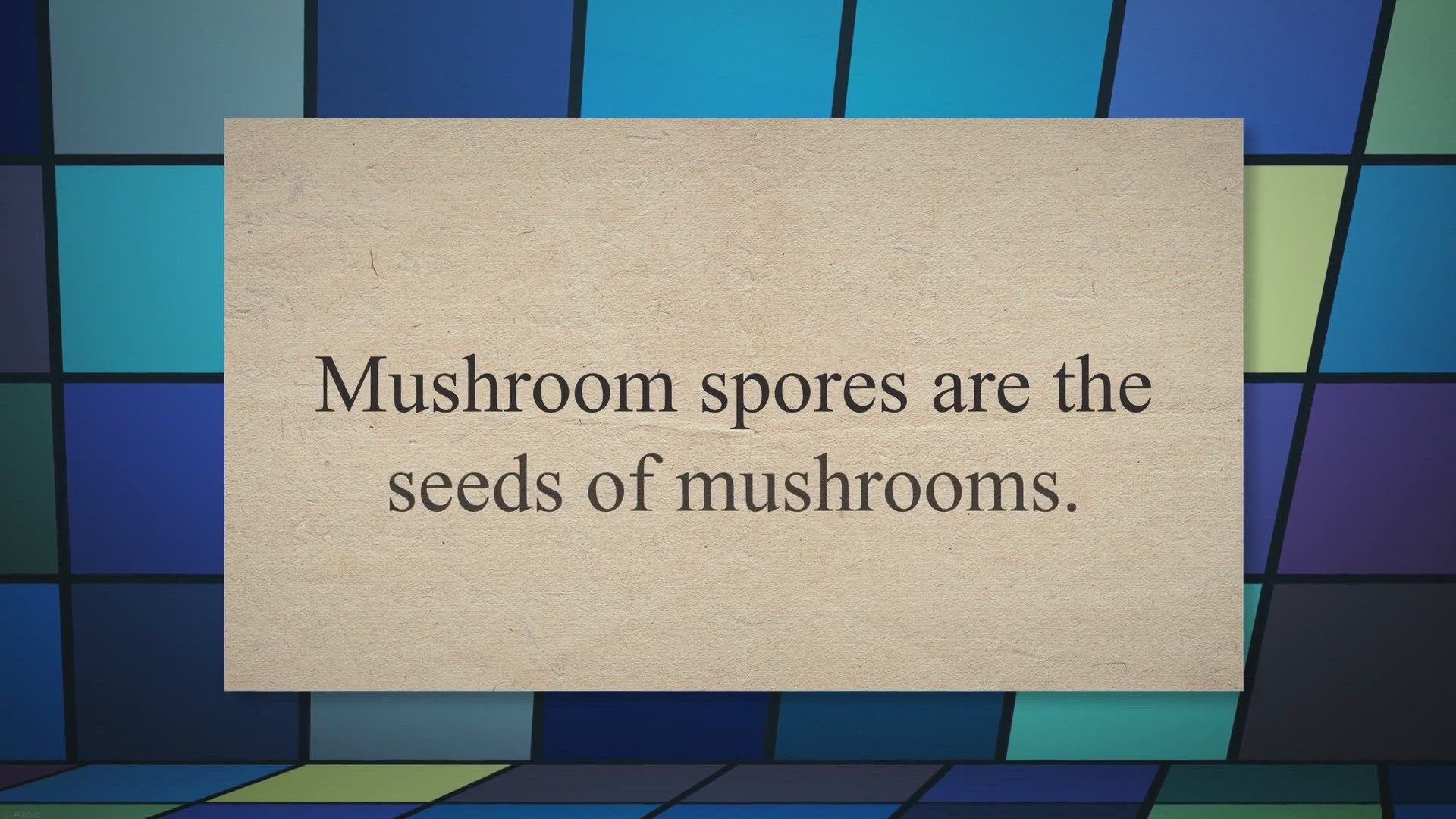 Video thumbnail for Do Mushroom Spores Need Light? Mystery Reveled! - Pointer Verse
