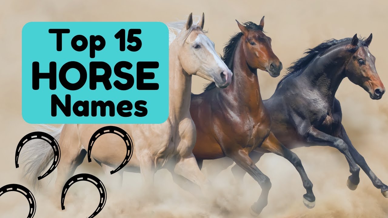 'Video playlist thumbnail'