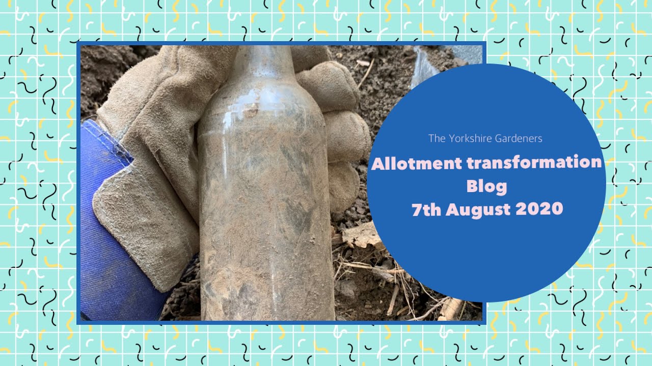 Video thumbnail for 🎥 ✅ Allotment Transformation 🌿🚀 | Big Progress & Stunning Improvements – August 7th 2020 Update 🌱✨