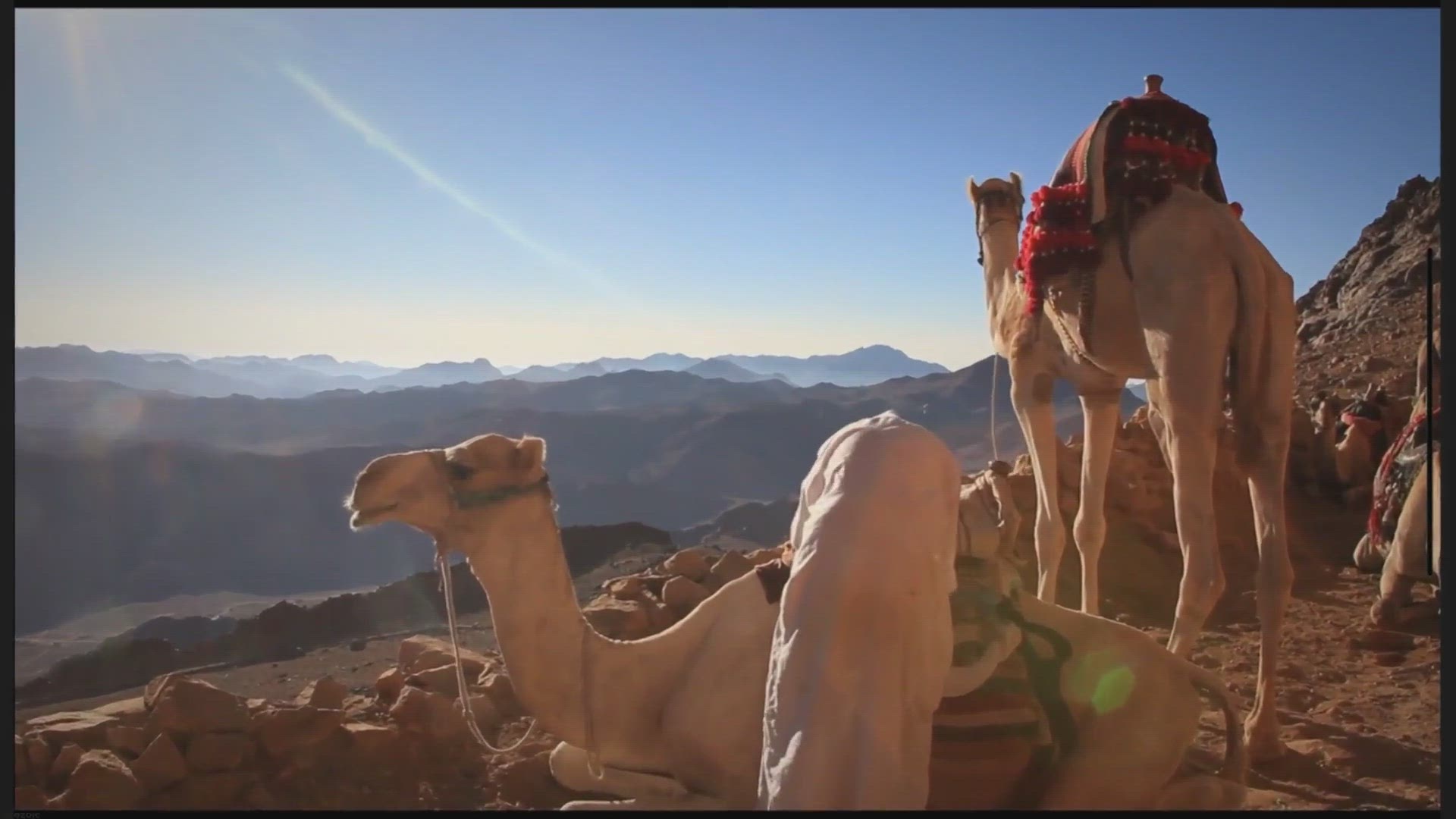 Video thumbnail for Iqama Transfer Through QIWA: Step by Step Procedure.