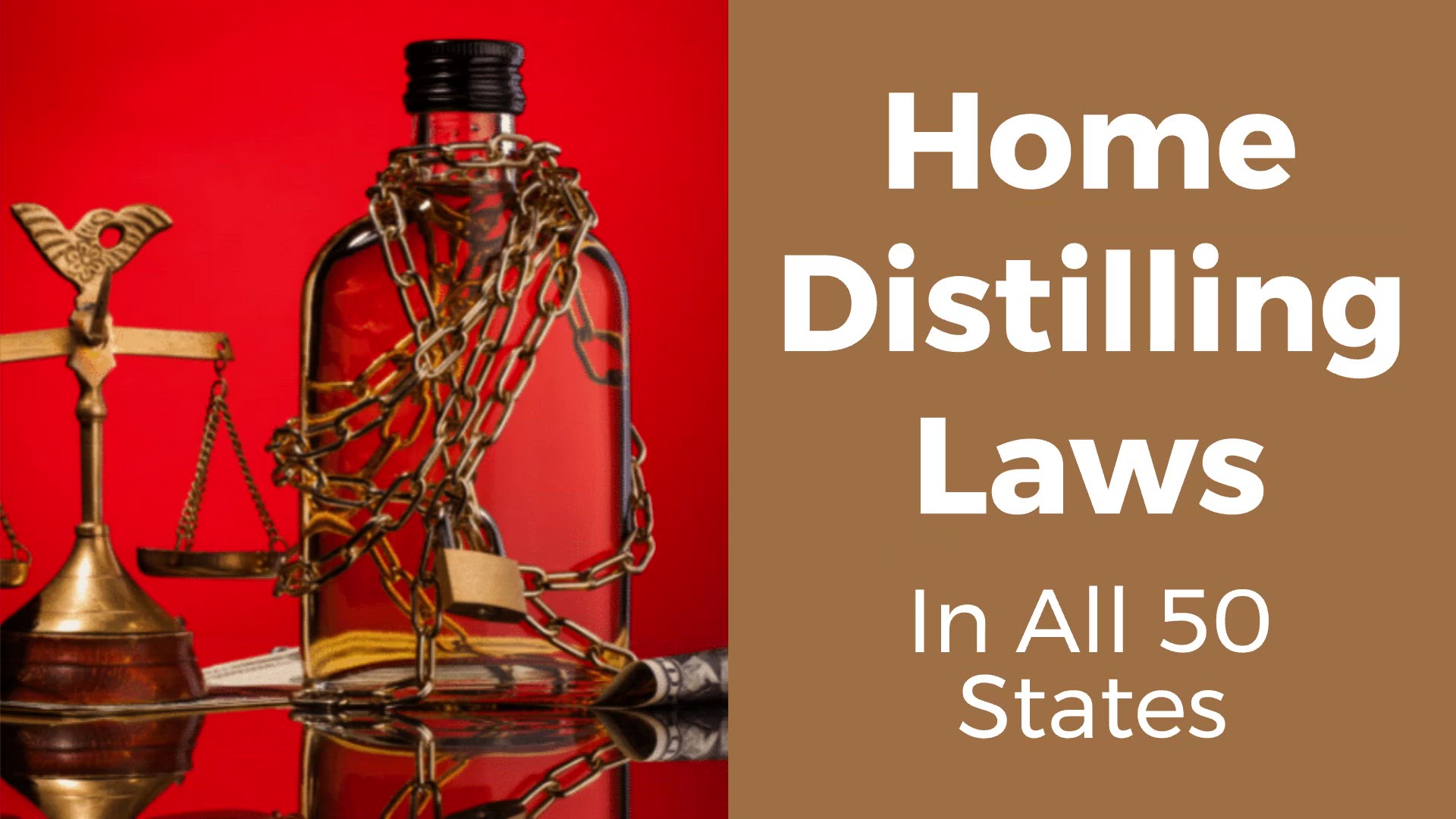 Video thumbnail for What's New at BoozeMakers