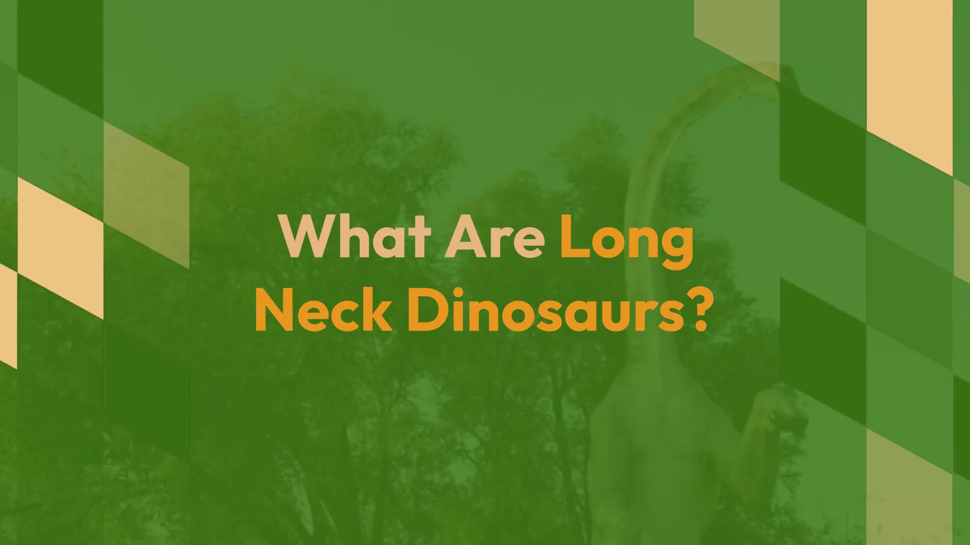 'Video thumbnail for Long Neck Dinosaurs'