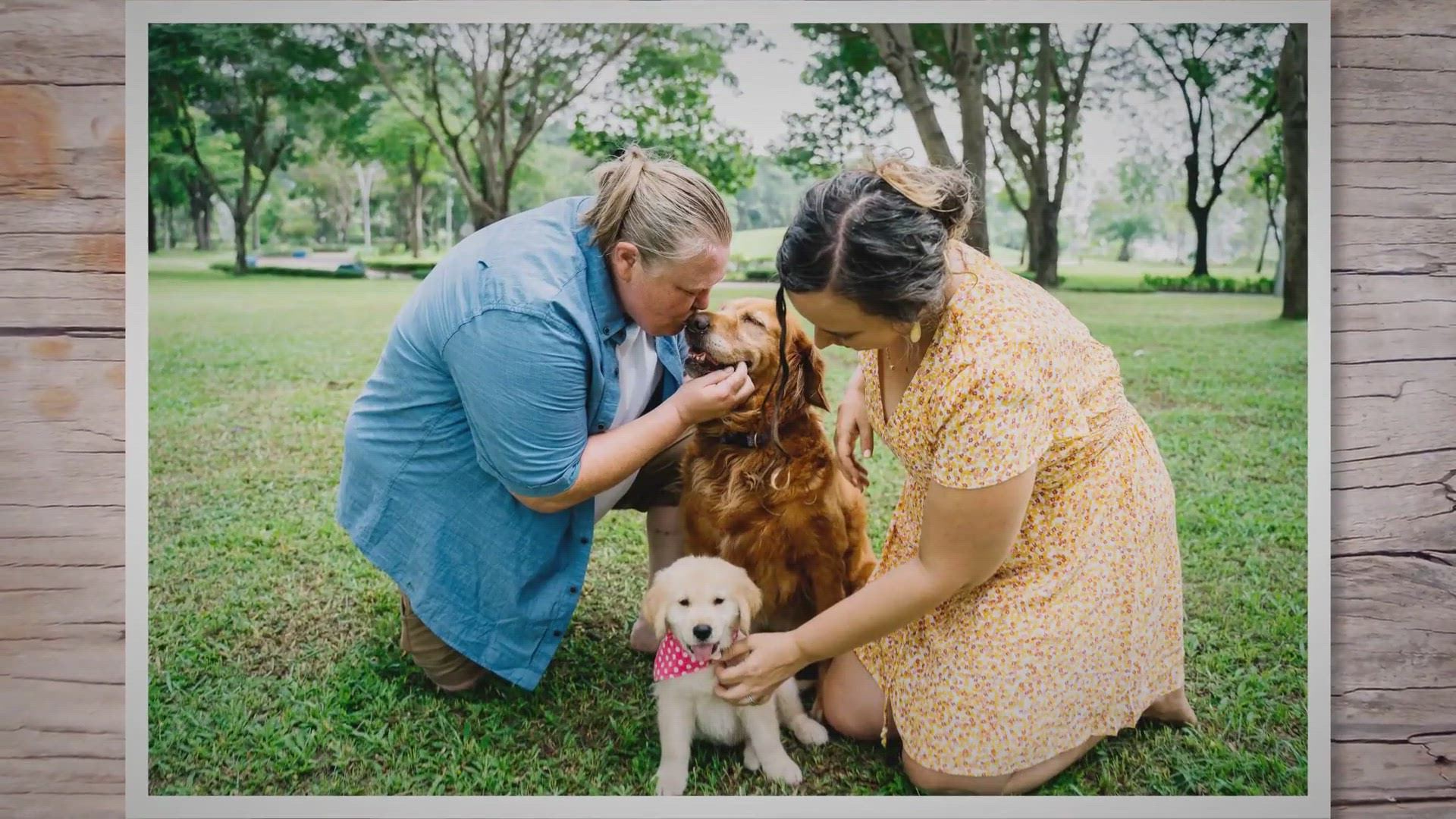 Video thumbnail for If The Dogs Are Offspring Of A Monohybrid Cross... » QuizTablet