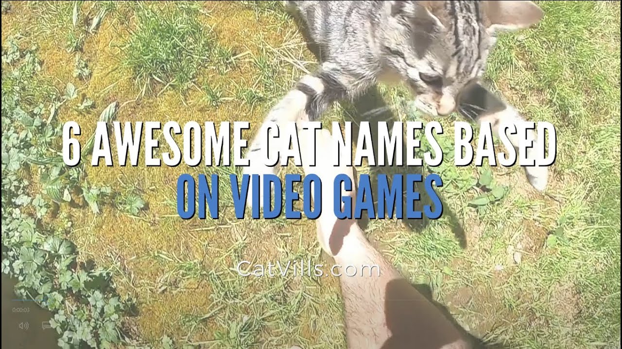 Video thumbnail for 6 AWESOME CAT NAMES BASED ON VIDEO GAMES