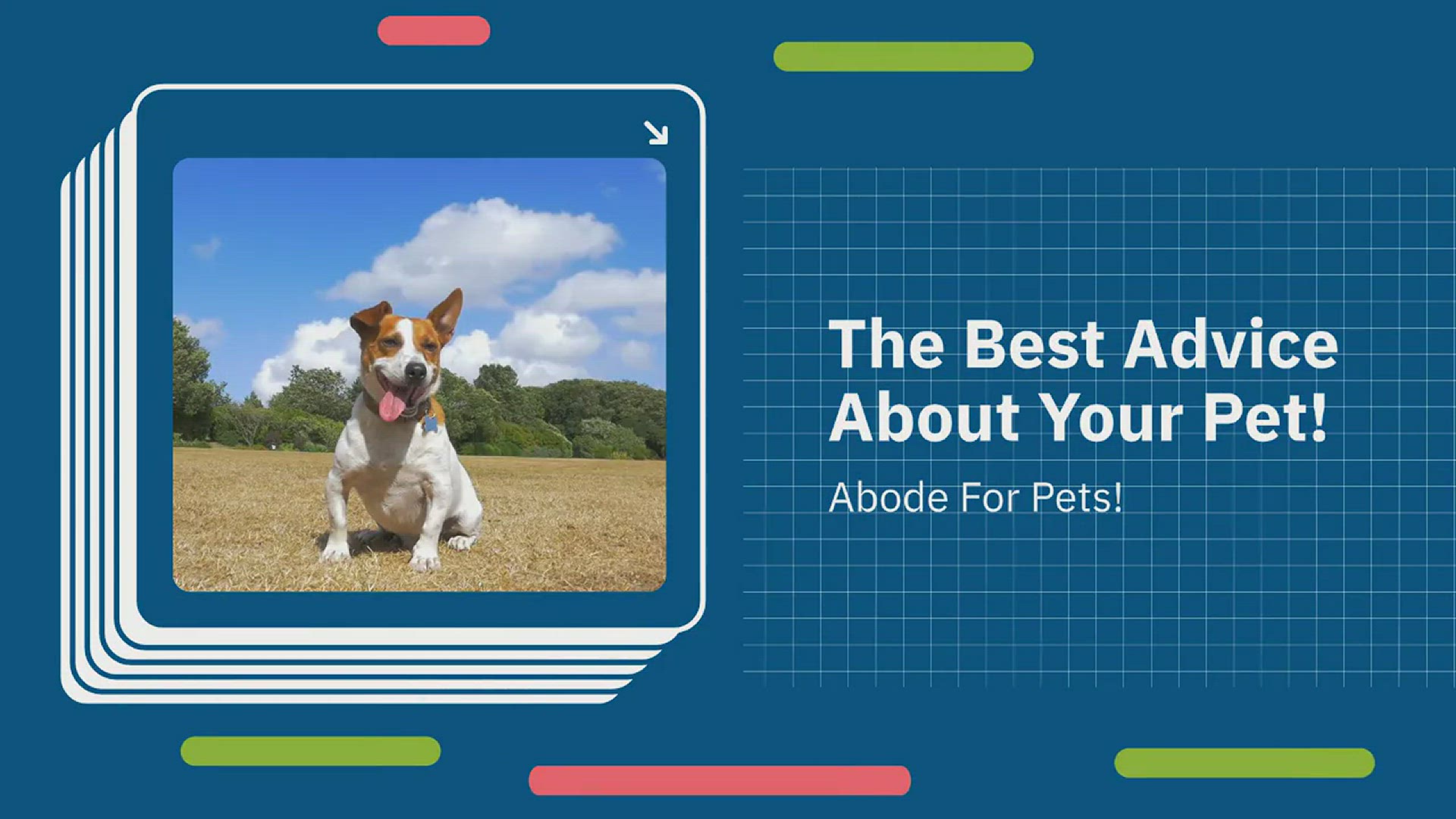 Video thumbnail for Abode For Pets Site Wide Video
