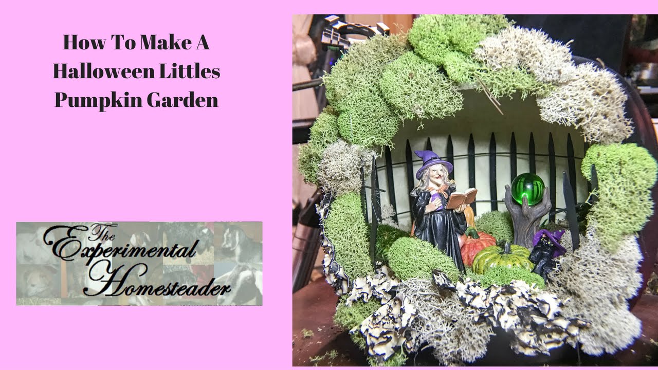 Video thumbnail for How To Make A Halloween Littles Pumpkin Garden