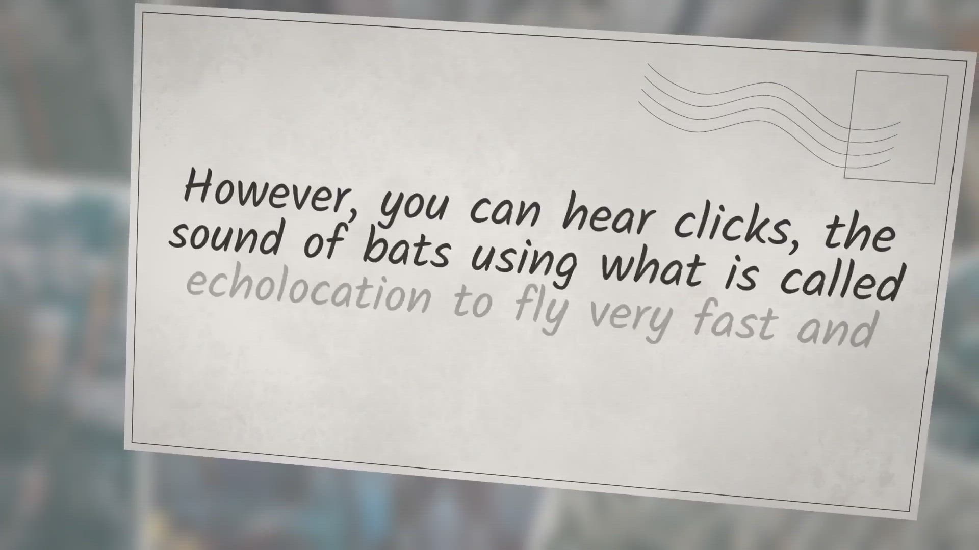 Video thumbnail for Do Bats Make Noise?