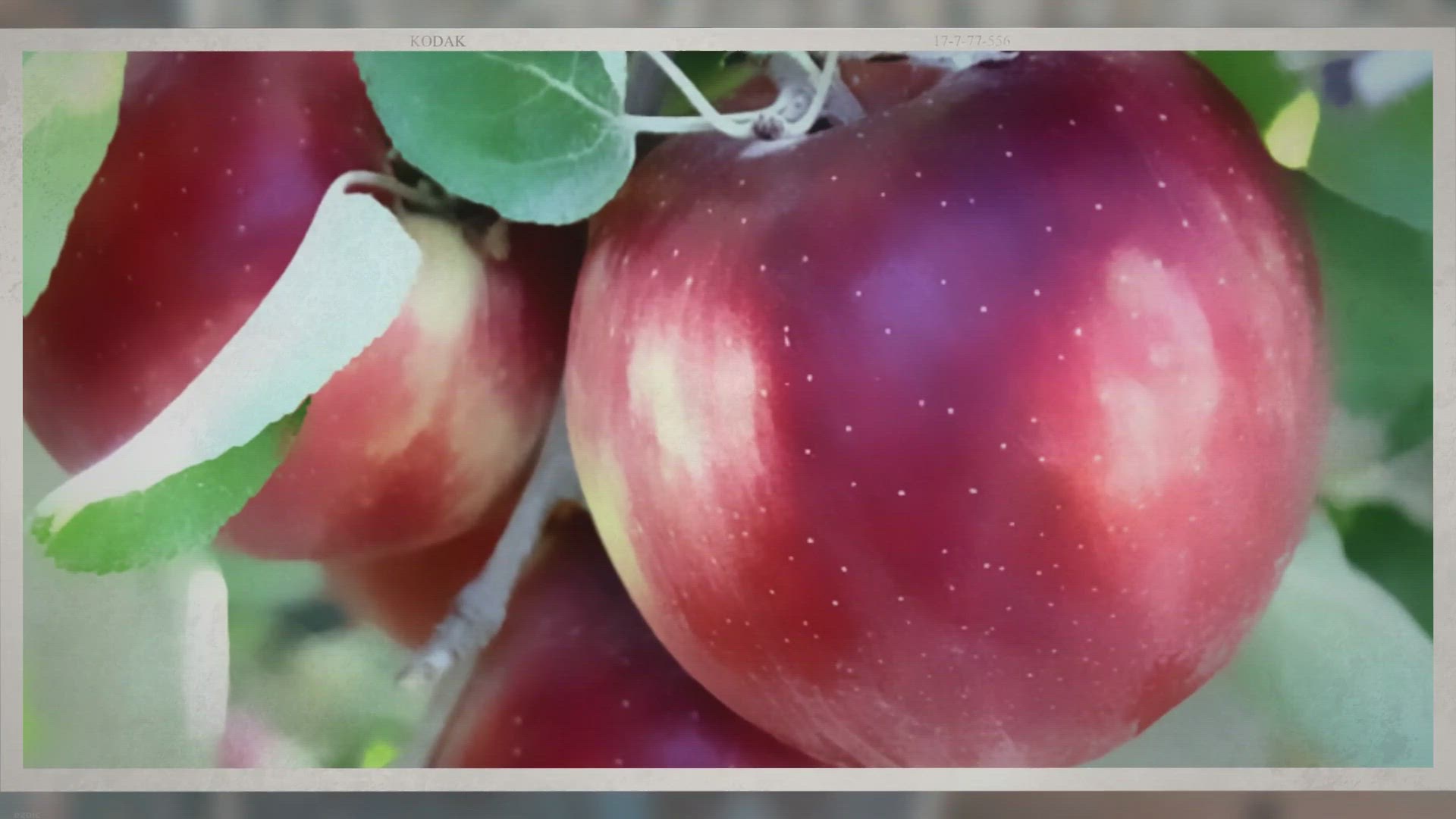 'Video thumbnail for What is the Cosmic Crisp Apple'