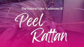 'Video thumbnail for The Natural Color Variations of Peel Rattan'