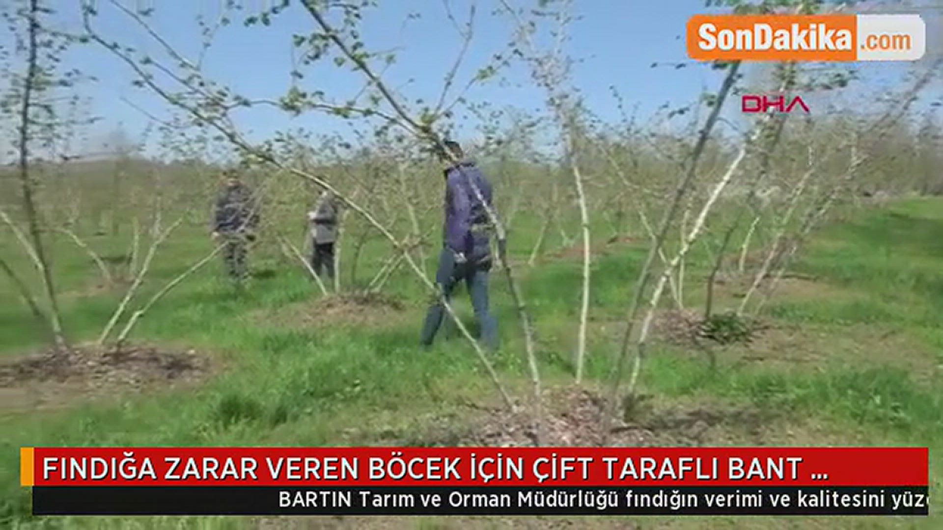 Video thumbnail for Kozalak Akarına Karşı Yeni Teknik: Çift Taraflı Bant