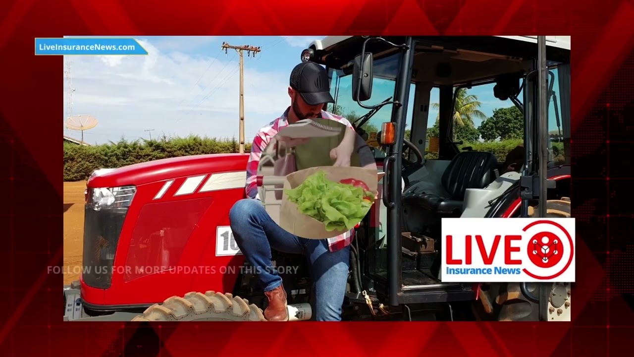 'Video thumbnail for Spanish - Is crop insurance worsening the United States food crisis?'