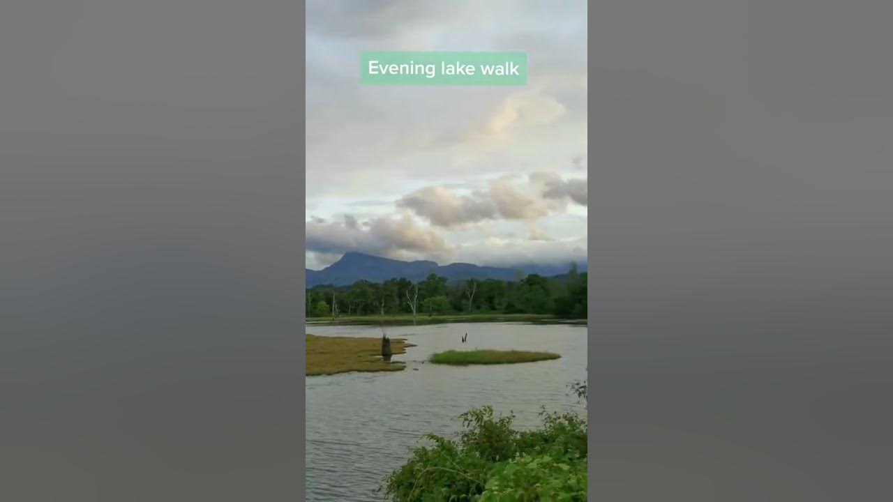 Video thumbnail for Evening lake walk in Sri Lanka #shorts