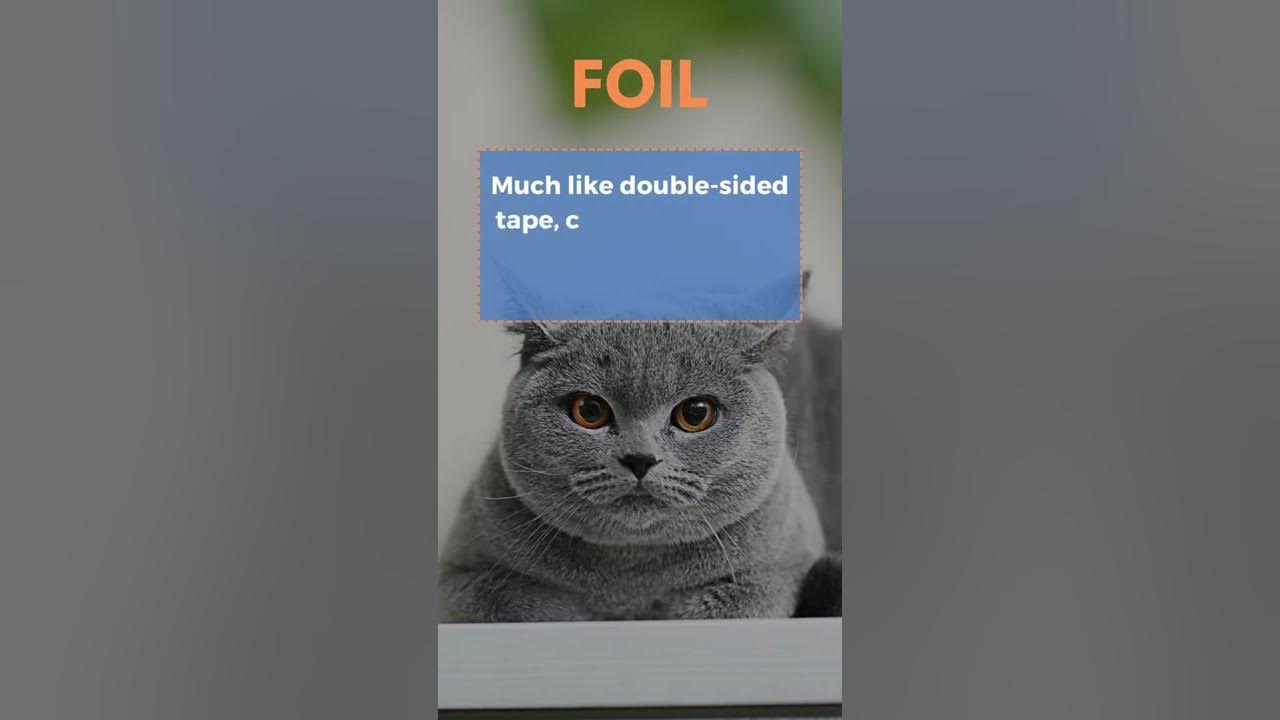 Video thumbnail for How To Keep Your Cat Off The Kitchen Counter: Proven Tips! #shorts