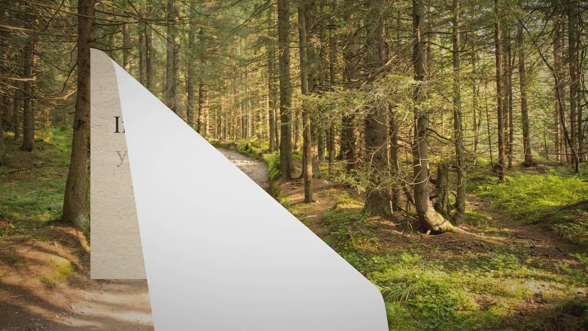 Video thumbnail for Test line darker than control line, What does it mean?