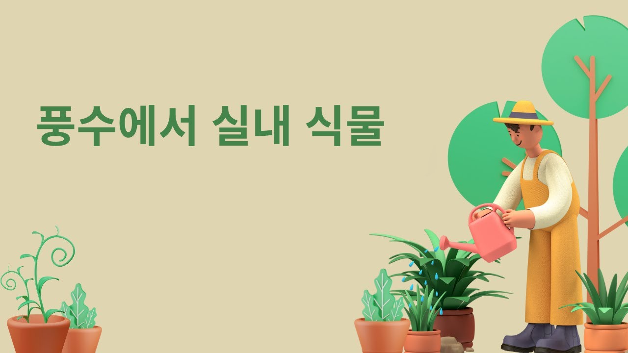 'Video thumbnail for 풍수에서 실내 식물'