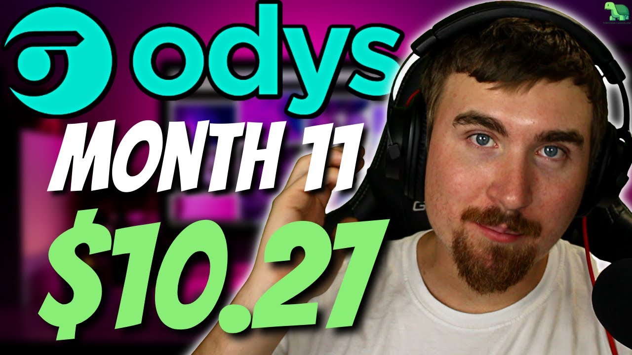 Video thumbnail for I Added an Affiliate Program | Odys Aged Domain Month 11